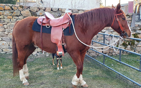 YOUR HAND-MADE CUSTOM SADDLE