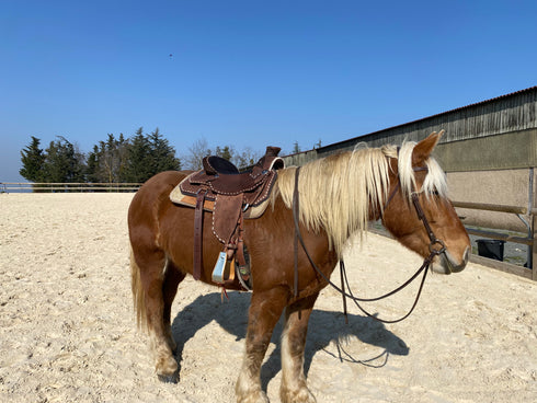 YOUR HAND-MADE CUSTOM SADDLE